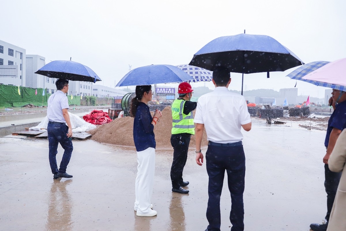 嵊州市副市長李劍光調研板川智慧廚房數字化工業園工程，推動板川項目建設高質量發展