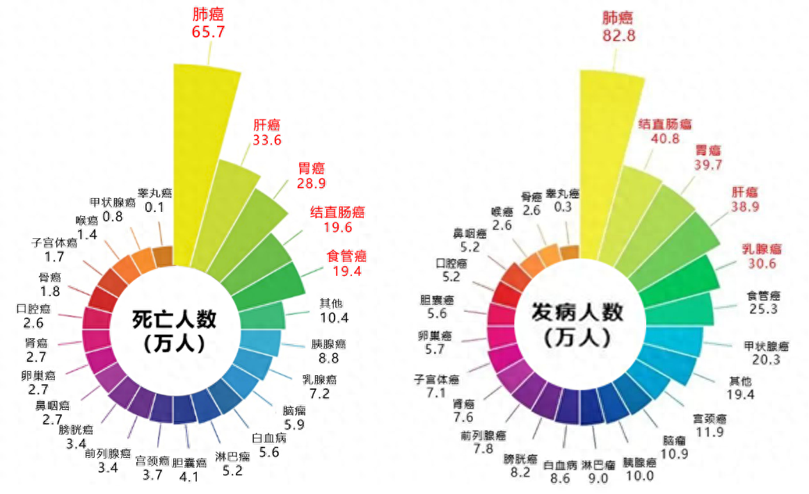 廚房油煙成肺癌隱患？板川“集成灶超跑”帶你抵達無煙廚房新境界