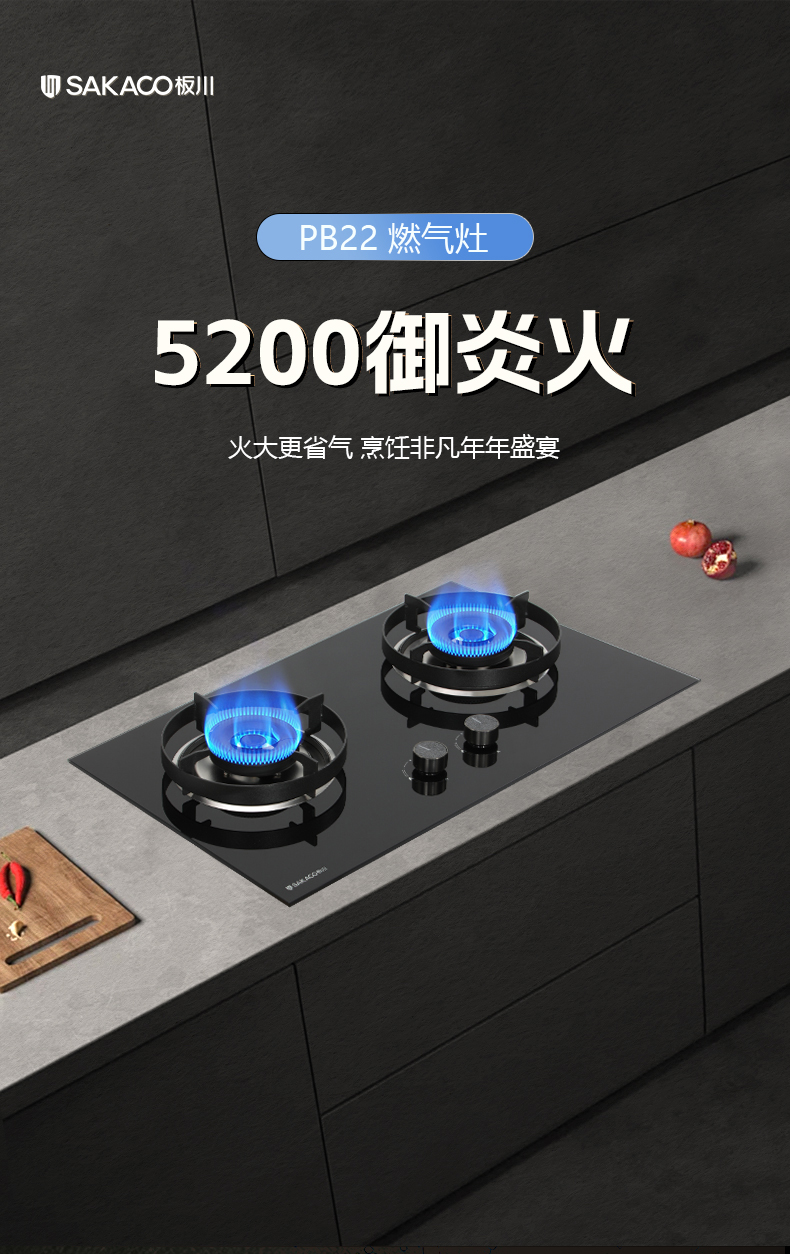 燃氣灶PB22